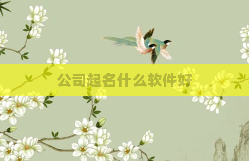 公司起名什么软件好