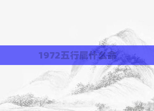 1972五行属什么命