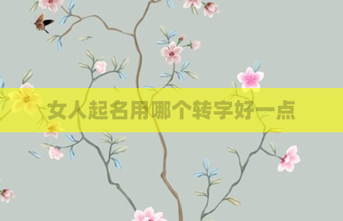 女人起名用哪个转字好一点