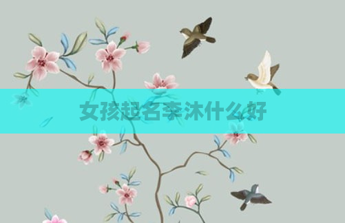 女孩起名李沐什么好