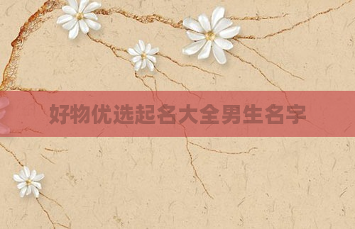 好物优选起名大全男生名字