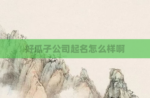 好瓜子公司起名怎么样啊