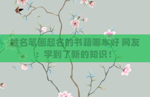 姓名笔画起名的书籍哪本好 网友：学到了新的知识！