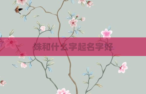 姝和什么字起名字好