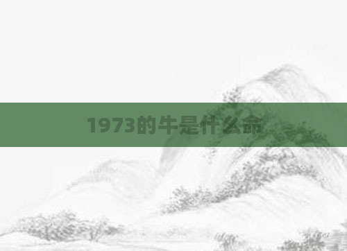 1973的牛是什么命