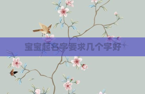 宝宝起名字要求几个字好