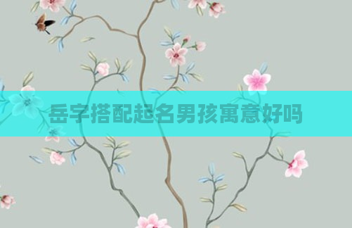 岳字搭配起名男孩寓意好吗