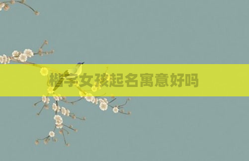 楷字女孩起名寓意好吗