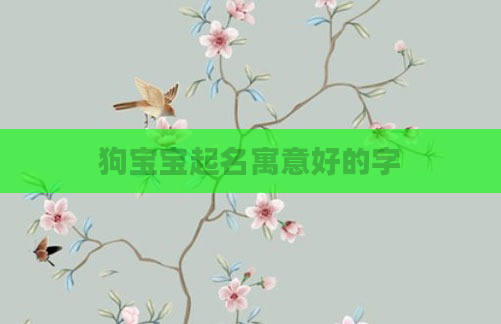 狗宝宝起名寓意好的字