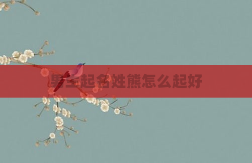 男生起名姓熊怎么起好