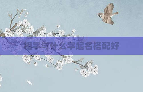 相字与什么字起名搭配好