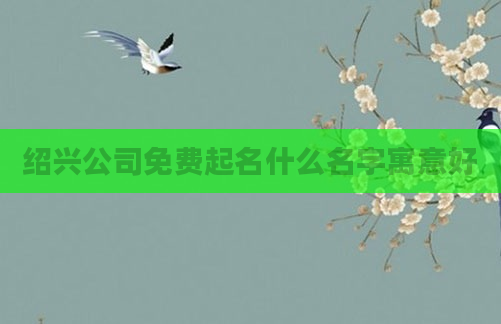 绍兴公司免费起名什么名字寓意好