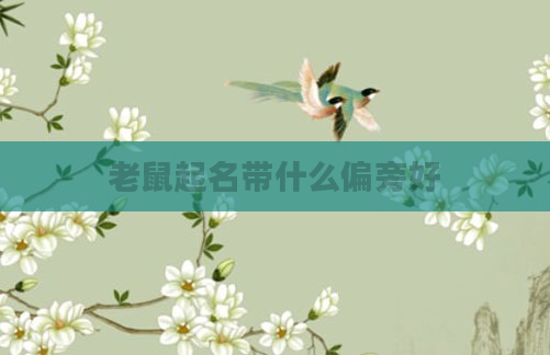 老鼠起名带什么偏旁好