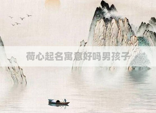 荷心起名寓意好吗男孩子