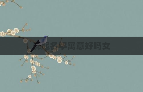 蕊起名字寓意好吗女