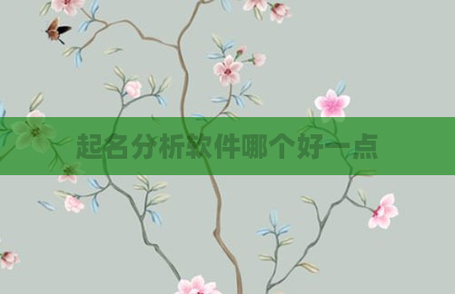 起名分析软件哪个好一点