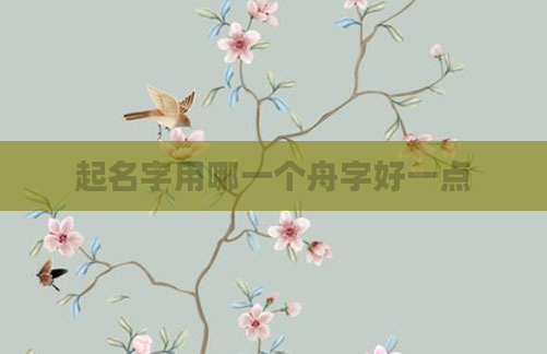 起名字用哪一个舟字好一点