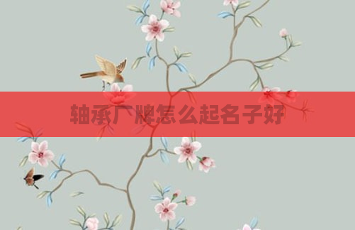 轴承厂牌怎么起名子好