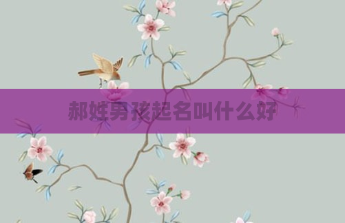 郝姓男孩起名叫什么好
