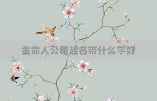 金命人公司起名带什么字好