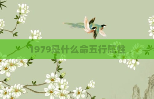 1979是什么命五行属性