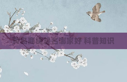 黄岛商铺起名哪家好 科普知识