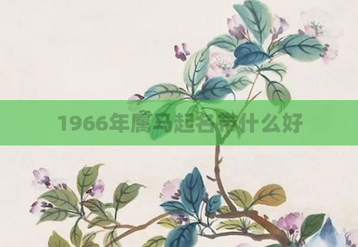 1966年属马起名带什么好