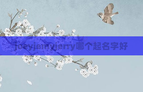 joeyjemyjerry哪个起名字好