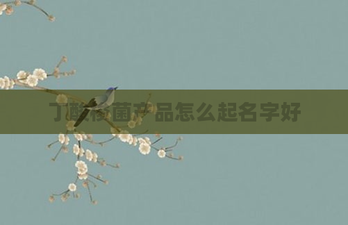 丁酸梭菌产品怎么起名字好