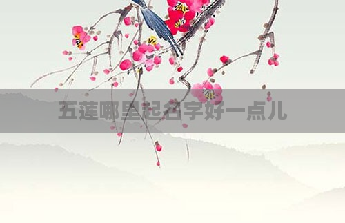 五莲哪里起名字好一点儿
