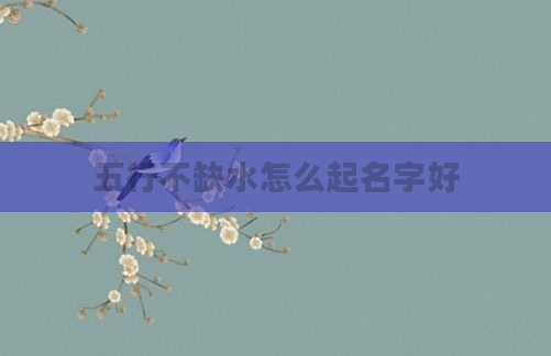 五行不缺水怎么起名字好