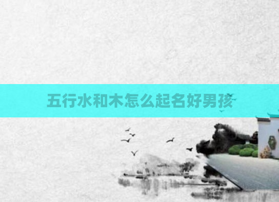五行水和木怎么起名好男孩