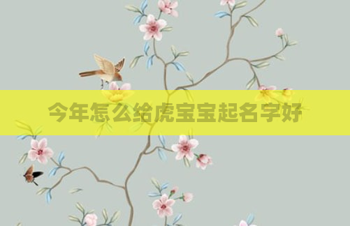 今年怎么给虎宝宝起名字好