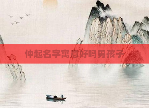仲起名字寓意好吗男孩子
