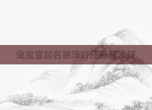 兔宝宝起名铭泽好还是茗泽好