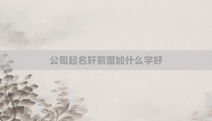 公司起名轩前面加什么字好