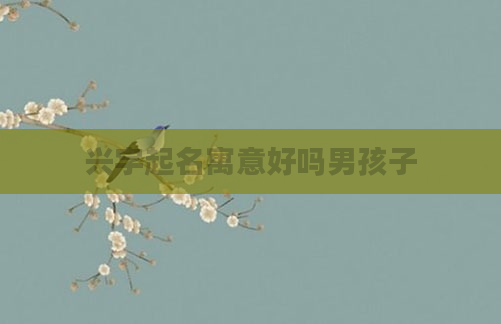 兴字起名寓意好吗男孩子
