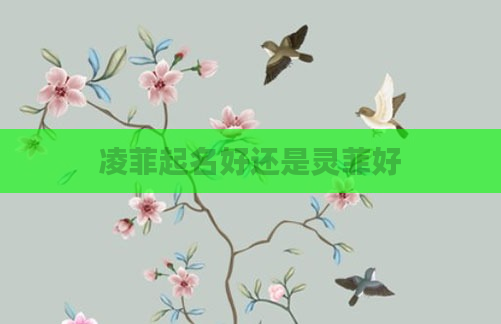 凌菲起名好还是灵菲好