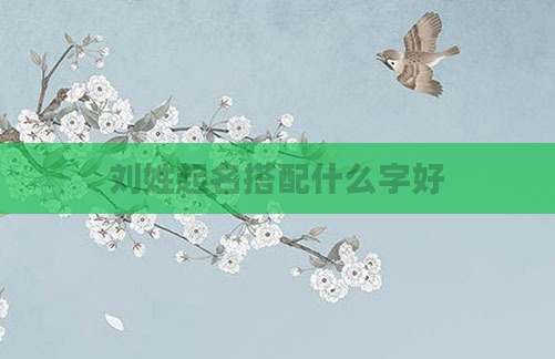 刘姓起名搭配什么字好
