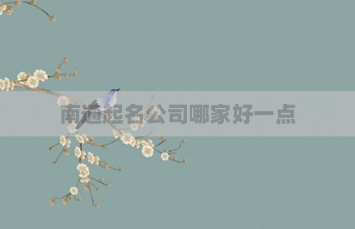 南通起名公司哪家好一点