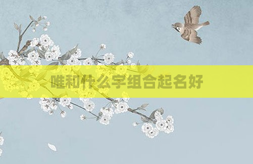 唯和什么字组合起名好