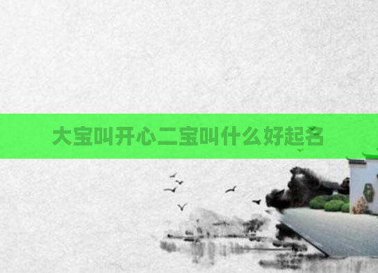 大宝叫开心二宝叫什么好起名
