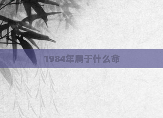 1984年属于什么命