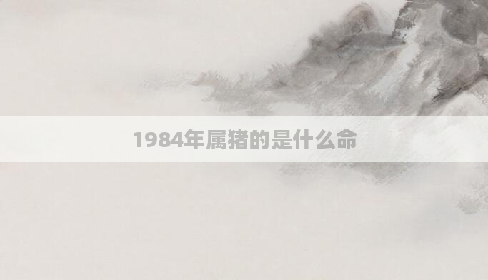 1984年属猪的是什么命