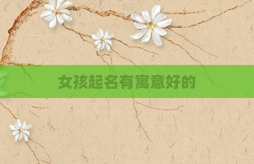 女孩起名有寓意好的