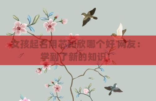 女孩起名用芯和欣哪个好 网友：学到了新的知识！