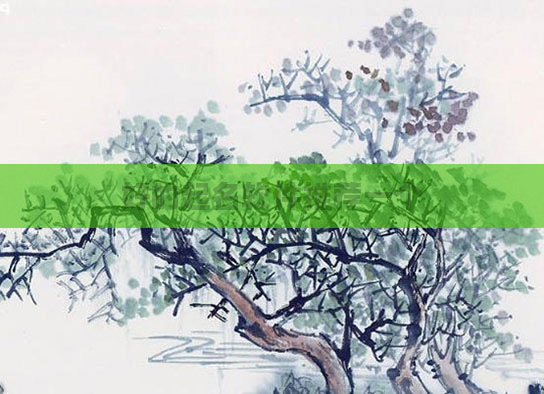 好的起名软件推荐一个