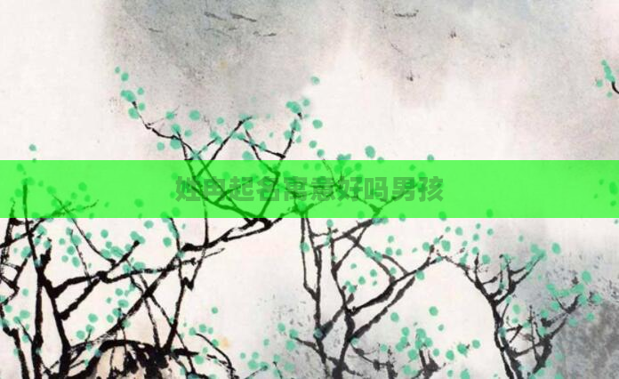 姓冉起名寓意好吗男孩