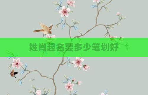 姓肖起名要多少笔划好