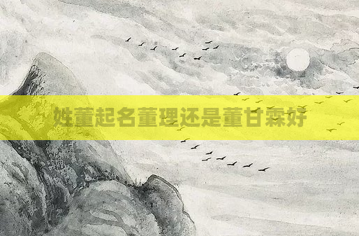 姓董起名董理还是董甘霖好